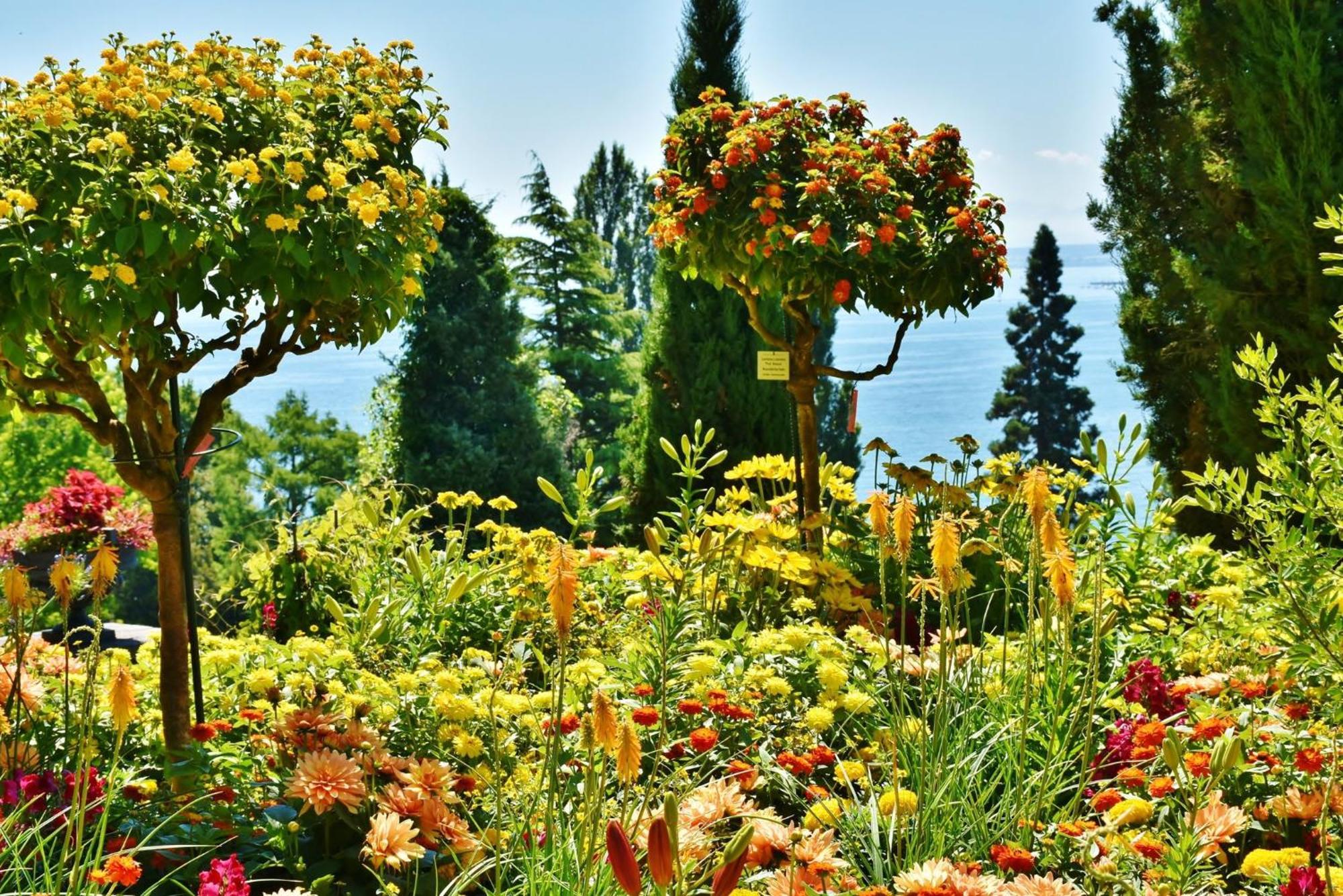 Holiday Inn - The Niu, Flower Konstanz By Ihg Esterno foto